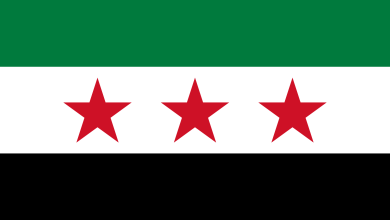 شات سوريا