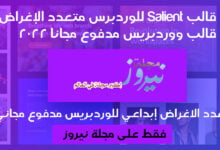 تحميل أفضل قالب متعدد الإغراض قالب Salient ووردبريس مدفوع مجاني 2024