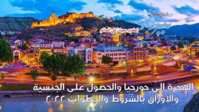 إلهجرة الى جورجيا والحصول على الجنسية والإوراق بالشروط والخطوات 2023