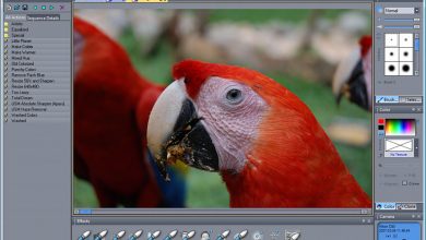 تحميل برنامج 2025 Photo Brush لتعديل الصور للكمبيوتر مجاناً